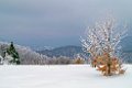 039 Bieszczady