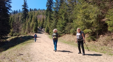 2.05.2026-Hala-Boracza-Autorka-Danuta-Knauer-2