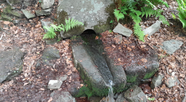10.05.2025-Ustron.-Ognisko-na-Rownicy-fot.-Leszek-Czarnota-29