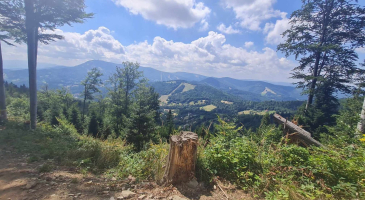 10-08-2024-r-Beskid-Slaski-Szyndzielnia-i-Klimczok-fot.-Aleksandra-Taraszka-8