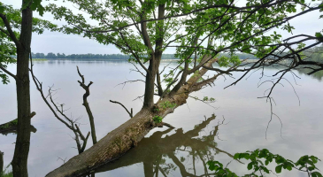 11-05-2024-Raciborz-Lezczok-Arboretum-Zamek-Piastowski-w-Raciborzu-fot.-Leszek-Czarnota-0a