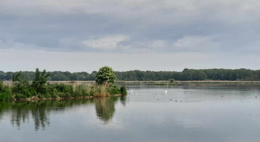 11-05-2024-Raciborz-Lezczok-Arboretum-Zamek-Piastowski-w-Raciborzu-fot.-Leszek-Czarnota-8