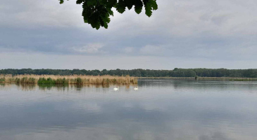 11-05-2024-Raciborz-Lezczok-Arboretum-Zamek-Piastowski-w-Raciborzu-fot.-Leszek-Czarnota-9