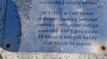 18.04.2026-Tworkow-Kolejka-Rudy-Raciborskie-Autorka-Ewa-Kaszta2