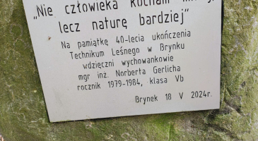 Plawniowice-Autor-Jacek-Kaluza-44