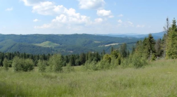 Chata-Grabowa-Autorka-Zofia-Poloczek-36