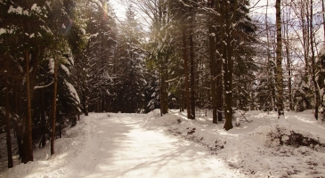 21.02.2026-Czupel-KGP-Beskid-Maly-Tomasz-Sauer5