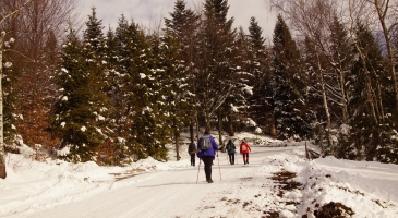 21.02.2026-Czupel-KGP-Beskid-Maly-Tomasz-Sauer6