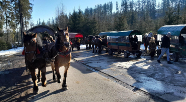 22.02.2025-r.-Istebna-Kulig-Halniakowy-Dwor-fot.-Leszek-Czarnota-14