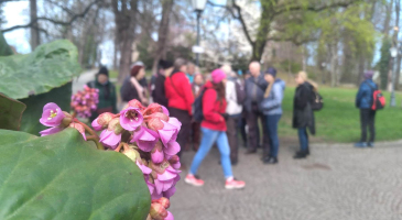 23.03.2024-Cieszyn-jarmark-zamek-muzeum-browar-Wenecja-cieszynska-18