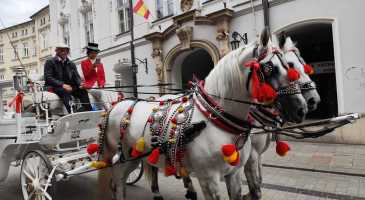 23.08.2025-r-Krakow-Cz.-2-Kazimierz-fot.-Krystyna-Wollny-1