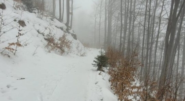 24.01.2026-Skrzyczne-KGP-Beskid-Slaski-Daniel-Marszolik-2