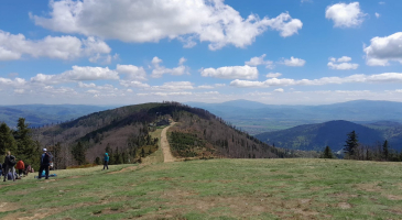 26.04.2025-r.-Kozia-Gora-Szyndzielnia-Klimczok-fot.-Leszek-Czarnota-14