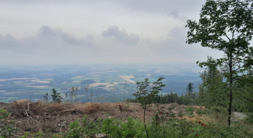 26.07.2025-r.-Biskupia-Kopa.-Gory-Opawskie-fot.-Leszek-Czarnota-16