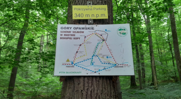 26.07.2025-r.-Biskupia-Kopa.-Gory-Opawskie-fot.-Leszek-Czarnota-31
